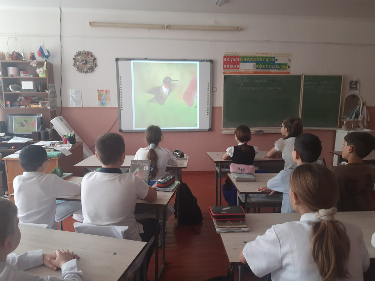 День птиц.